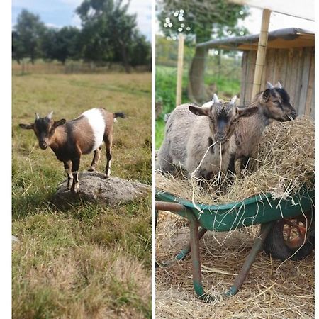 Le Domaine De La Petite Chevre Villa Ploumagoar Luaran gambar